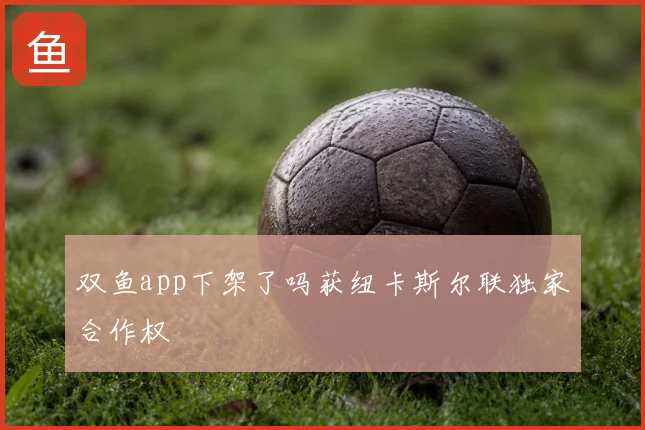 双鱼app下架了吗获纽卡斯尔联独家合作权