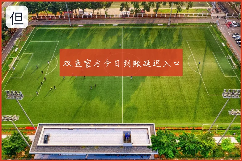 双鱼官方今日到账延迟入口